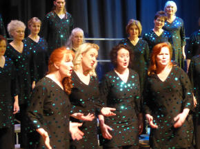 Vocal Dimension at the Caterham Oxted and Godstone Lions Club Show